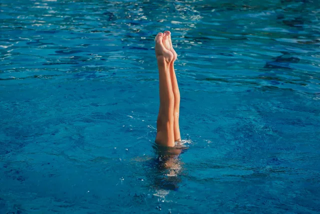 Muscles des jambes : cuisse